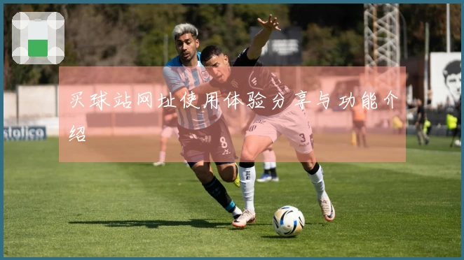 买球站网址使用体验分享与功能介绍