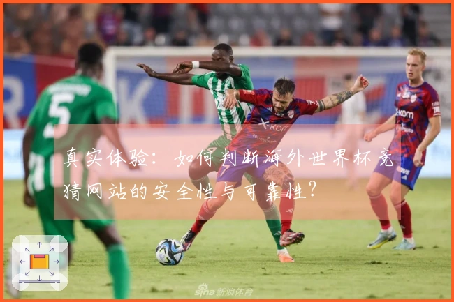 真实体验：如何判断海外世界杯竞猜网站的安全性与可靠性？
