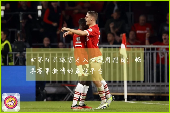世界杯买球官方入口使用指南：畅享赛事激情的最佳平台