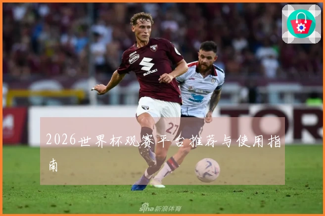 2026世界杯观赛平台推荐与使用指南