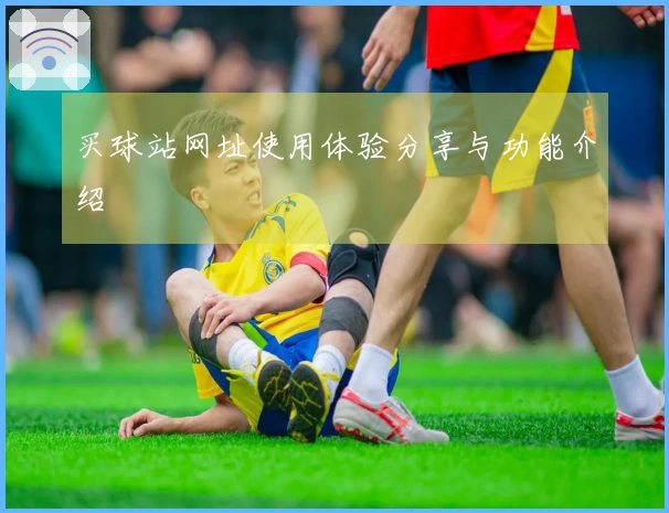 买球站网址使用体验分享与功能介绍