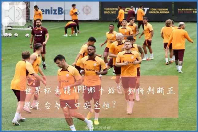 世界杯竞猜APP哪个好？如何判断正规平台与入口安全性？