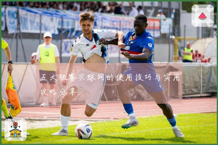 五大联赛买球网的使用技巧与实用攻略分享