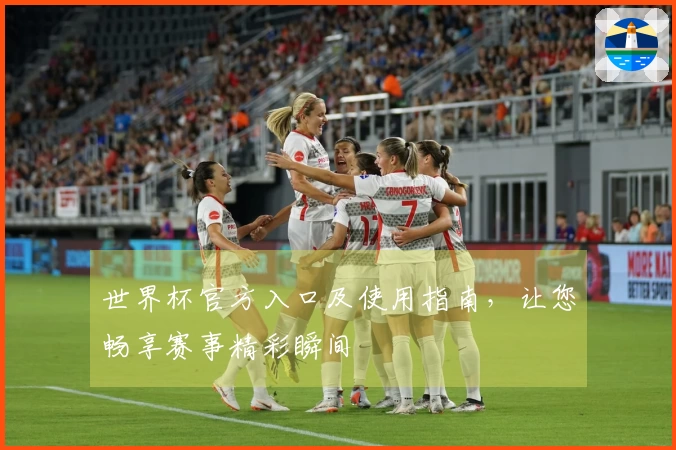 世界杯官方入口及使用指南，让您畅享赛事精彩瞬间