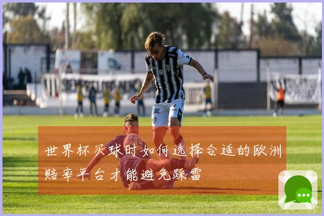 世界杯买球时如何选择合适的欧洲赔率平台才能避免踩雷