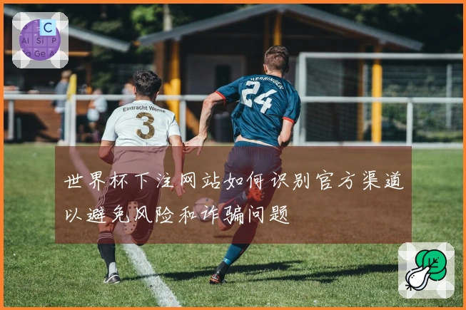 世界杯下注网站如何识别官方渠道以避免风险和诈骗问题