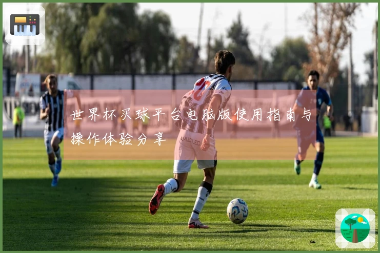 世界杯买球平台电脑版使用指南与操作体验分享