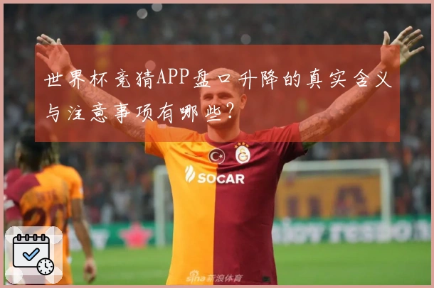 世界杯竞猜APP盘口升降的真实含义与注意事项有哪些？