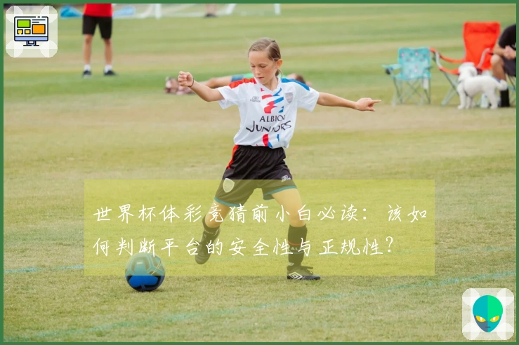 世界杯体彩竞猜前小白必读：该如何判断平台的安全性与正规性？