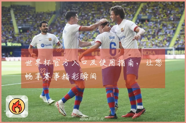 世界杯官方入口及使用指南，让您畅享赛事精彩瞬间