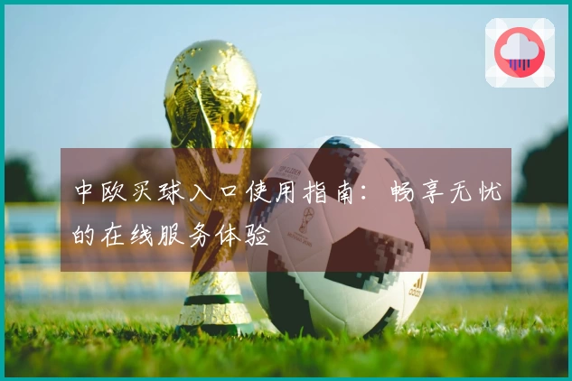 中欧买球入口使用指南：畅享无忧的在线服务体验