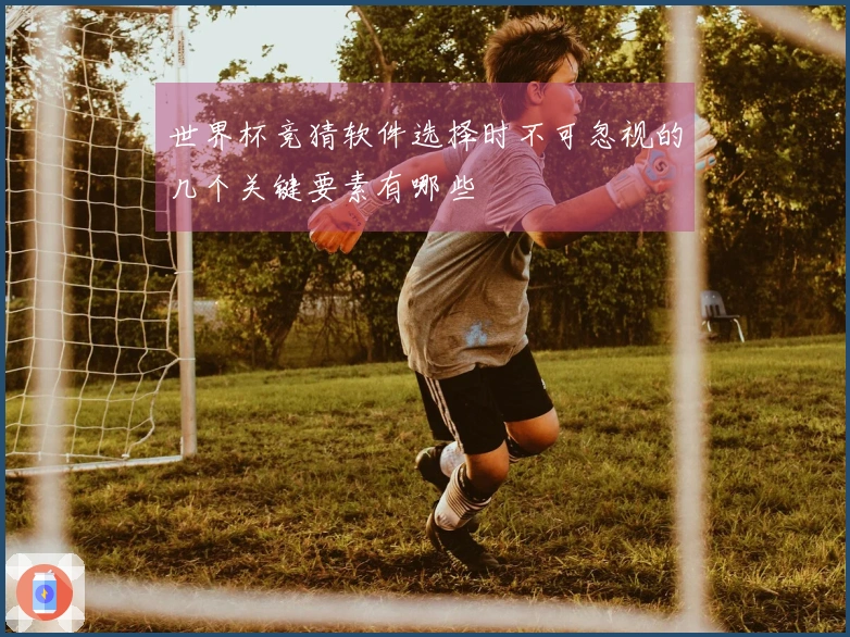 世界杯竞猜软件选择时不可忽视的几个关键要素有哪些