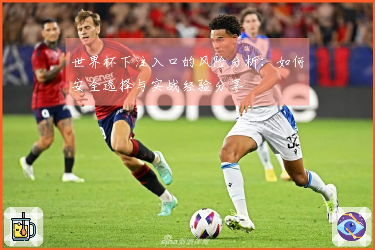 世界杯下注入口的风险分析：如何安全选择与实战经验分享