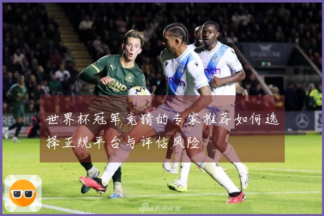 世界杯冠军竞猜的专家推荐如何选择正规平台与评估风险