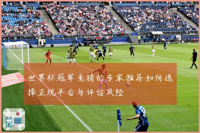 世界杯冠军竞猜的专家推荐如何选择正规平台与评估风险