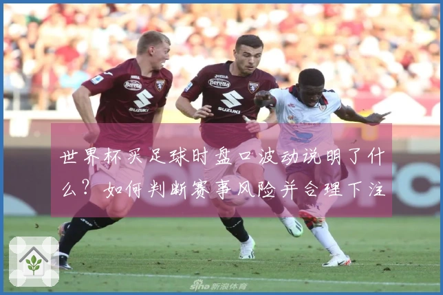 世界杯买足球时盘口波动说明了什么？如何判断赛事风险并合理下注？