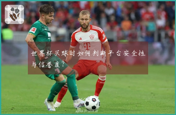 世界杯买球时如何判断平台安全性与信誉度？