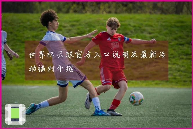 世界杯买球官方入口说明及最新活动福利介绍